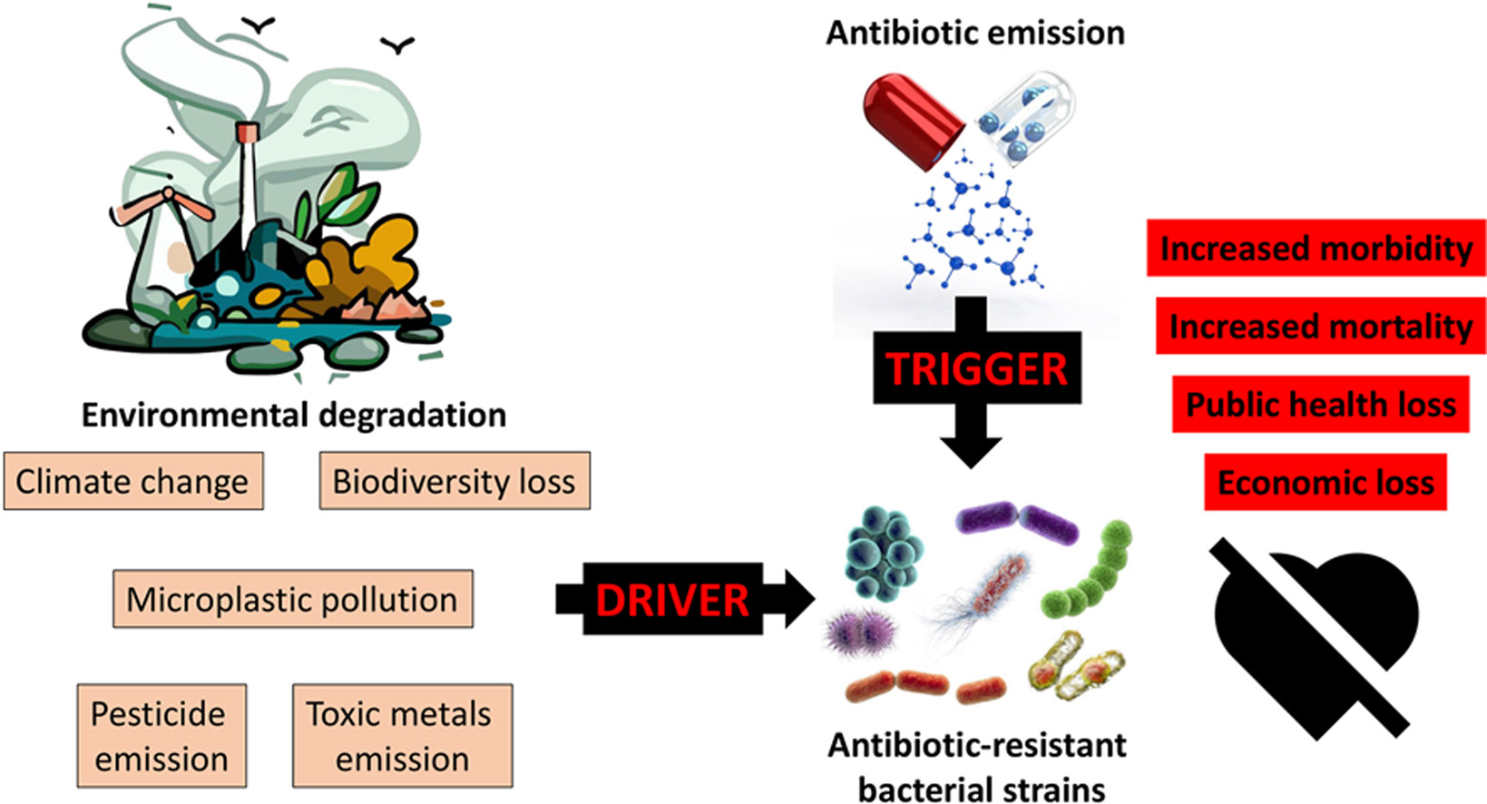 Climate warming, environmental degradation and pollution as drivers of antibiotic resistance