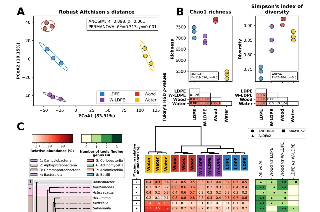 Microbial hitchhikers harbouring antimicrobial-resistance genes in the riverine plastisphere